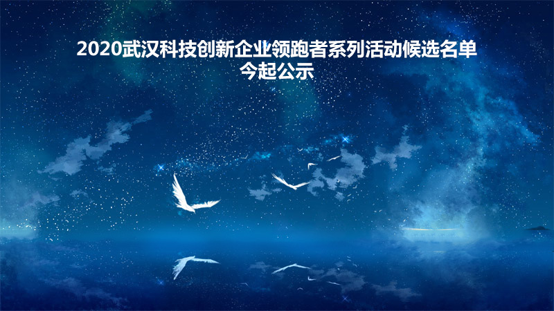 2020武汉科技创新企业领跑者系列-格瑞乐环保